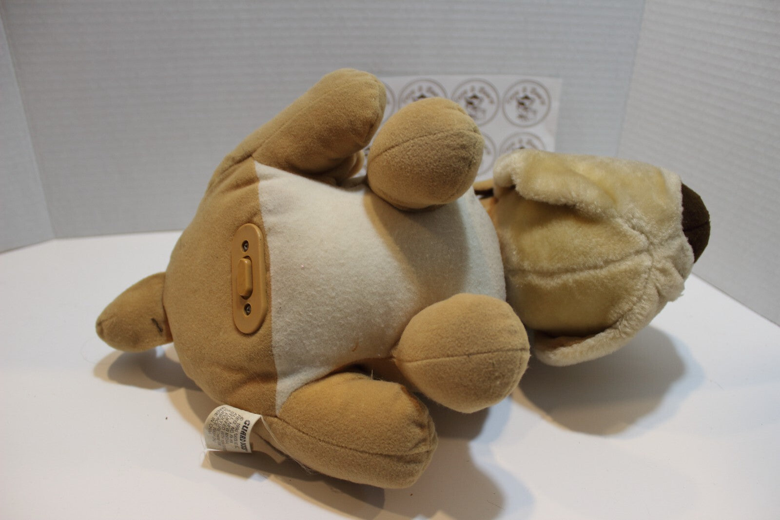 Image #6